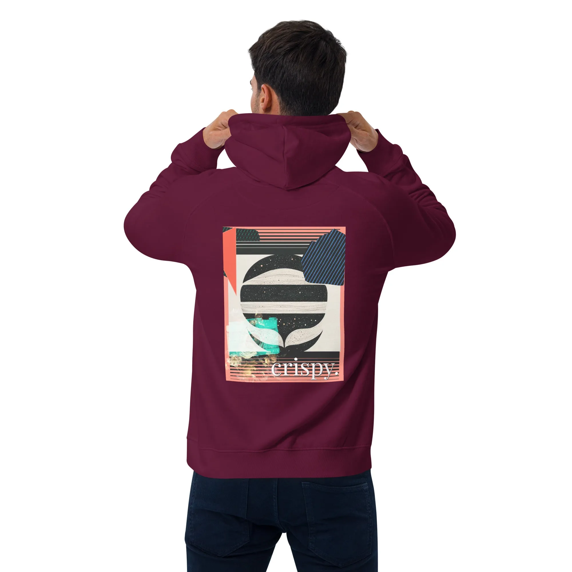 Dolphins Eat Rice Unisex eco raglan hoodie